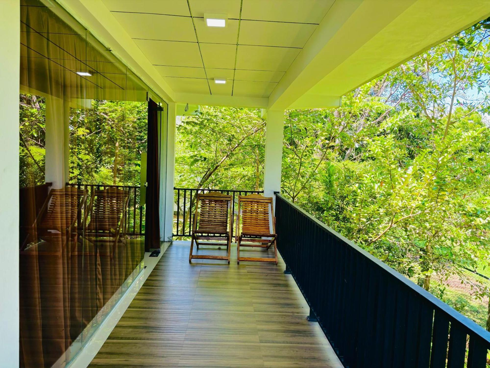 Forest Dew Udawalawa Udawalawe Rom bilde